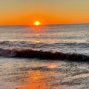 Meet your Posher, Judith